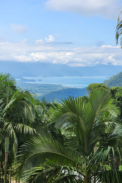 Prancheta 1 copiar 5